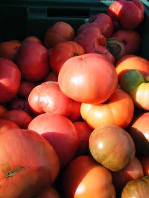 heirloomtoms