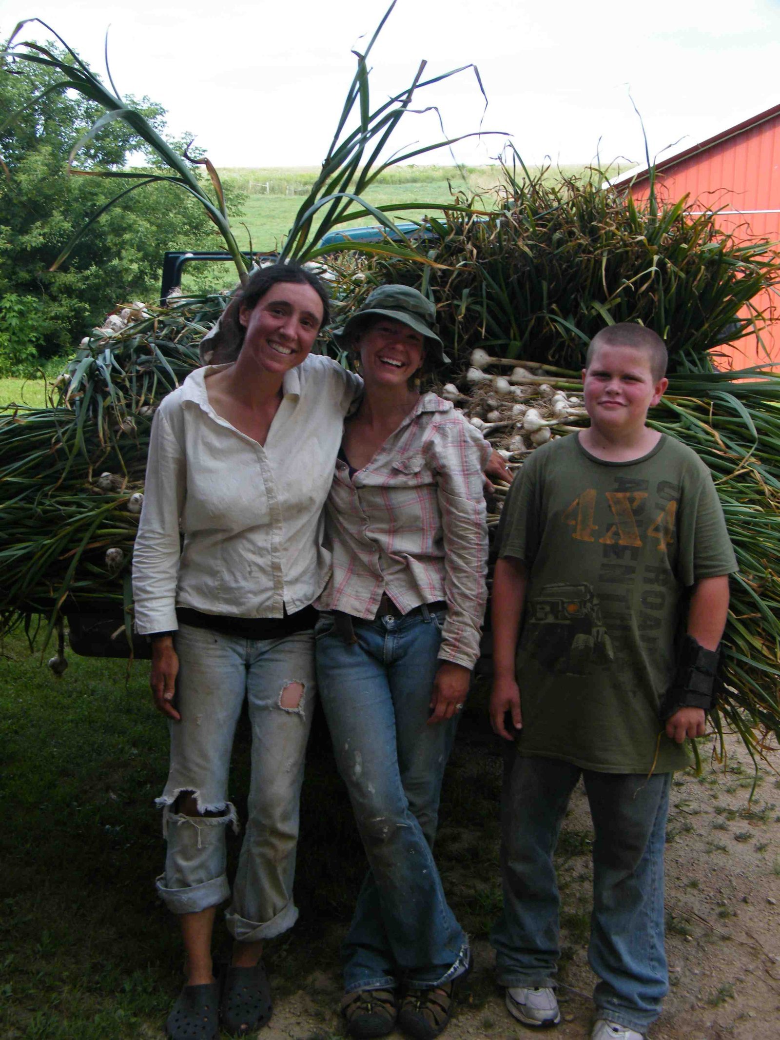 garlic_harvest