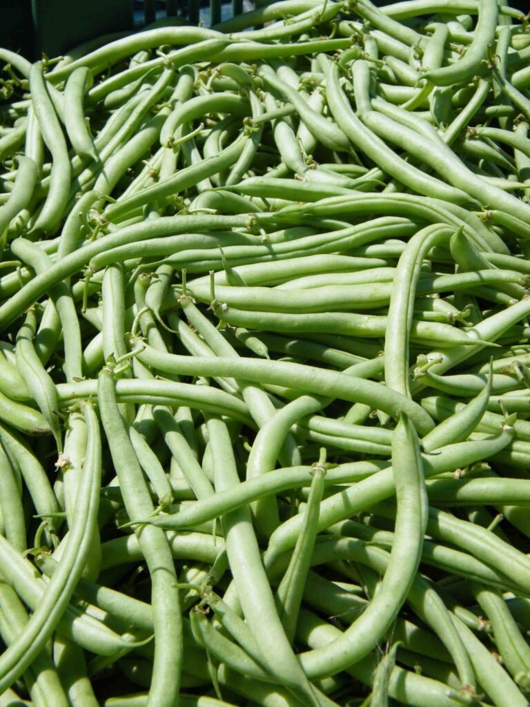 green_beans