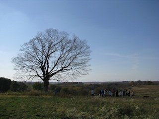 pasture_walk