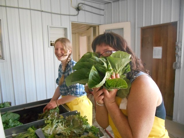 lettuce_washing