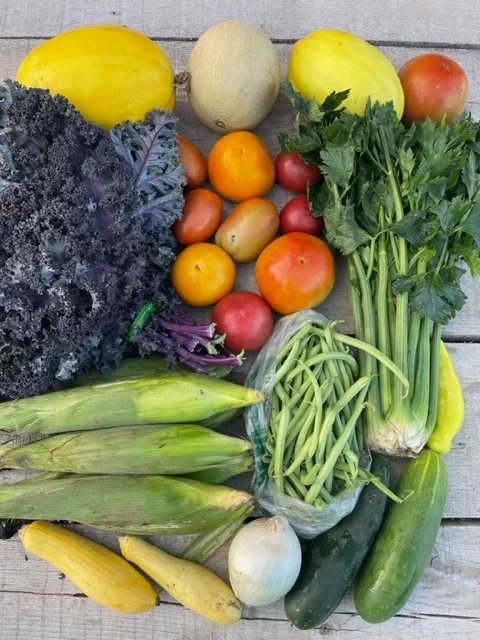 Aug 16 Csa Box