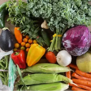 A summer vegetable share from Small Family Farm including corn, carrots, melons, peppers, tomatoes, onion, green kale and more.