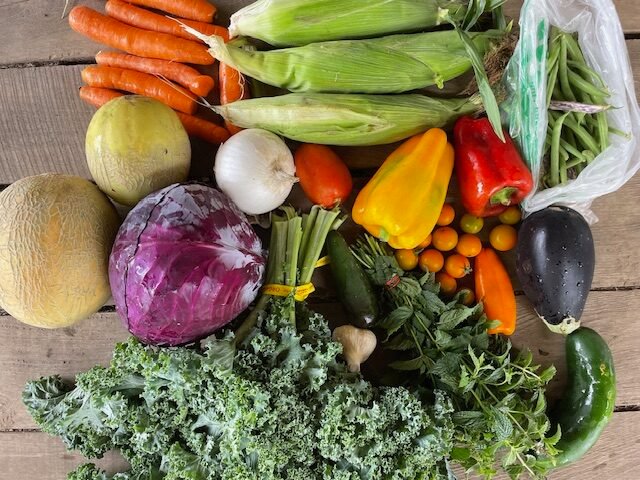 An august vegetable share at Small Family CSA