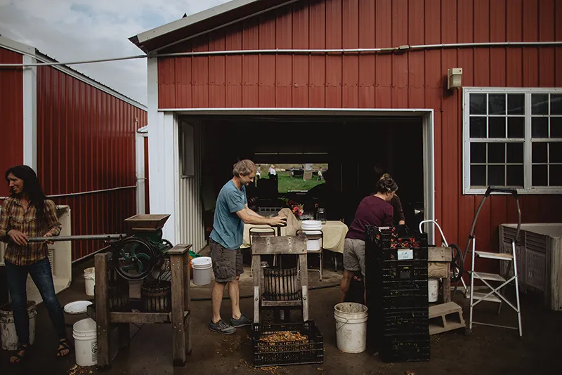 Kevin pressing cider at Small Family Farm.