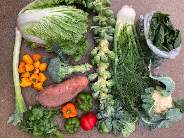 A Sample Fall Box from Small Family CSA Farm