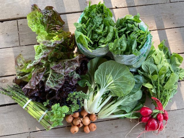 A Sample Spring Box from Small Family CSA Farm.