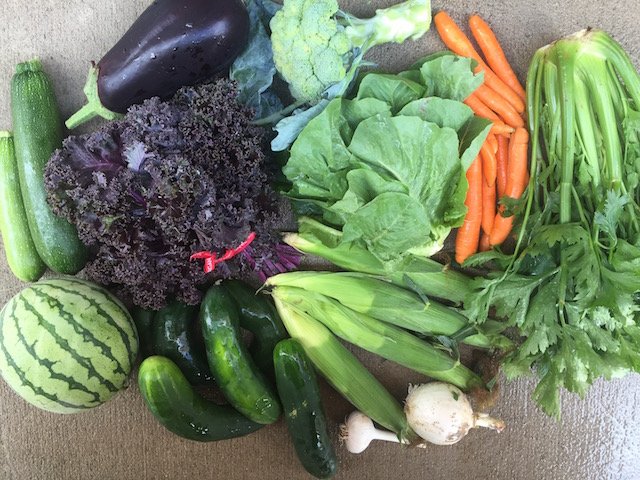 A Sample Summer Box from Small Family CSA Farm.