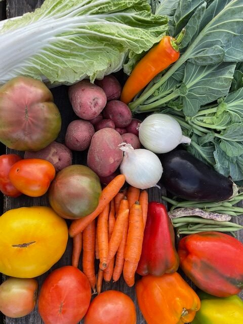 A September vegetable share at Small Family CSA