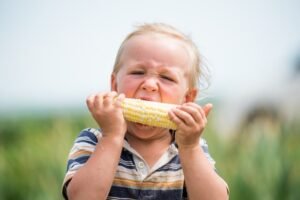 Small Child Eating Corn