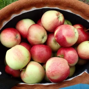 Apples from Blue Roof Orchard.