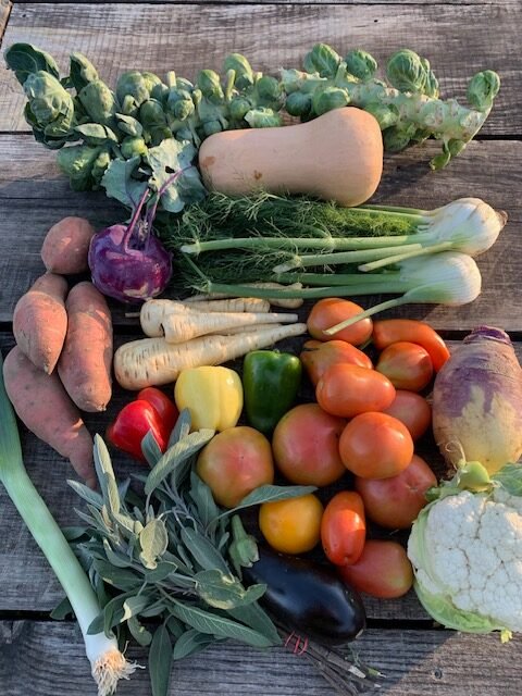 A sample CSA box from Week 20