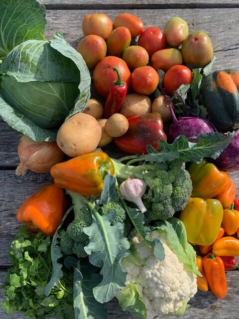 October csa share small family csa