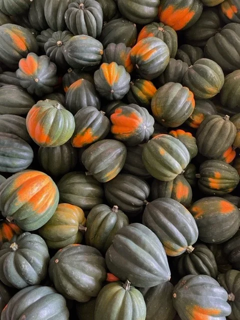 Acorn Square from Small Family CSA