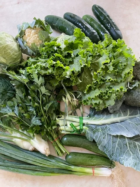 July 19 Csa Box