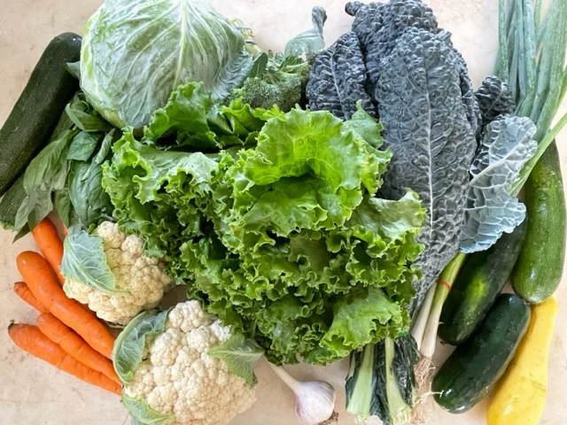 July 26 Csa Box