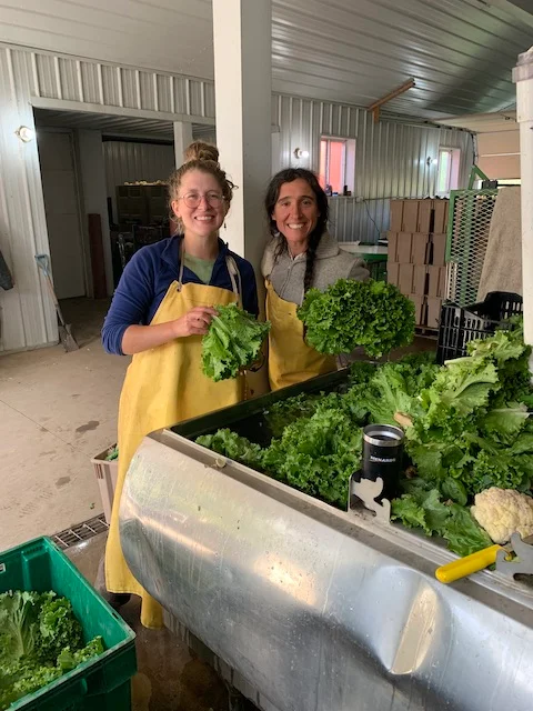 Washing vegetables