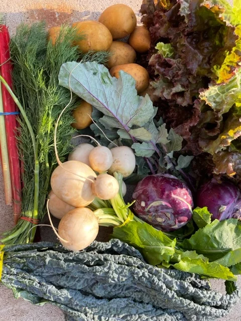 June 23 Csa Box