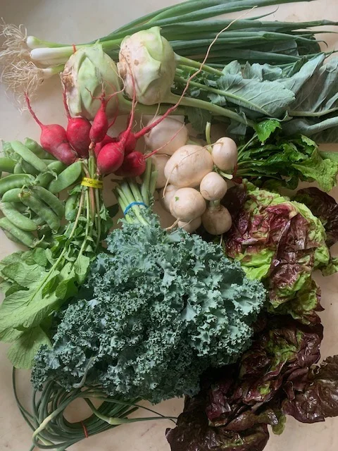 June CSA Box at Small Family Farm