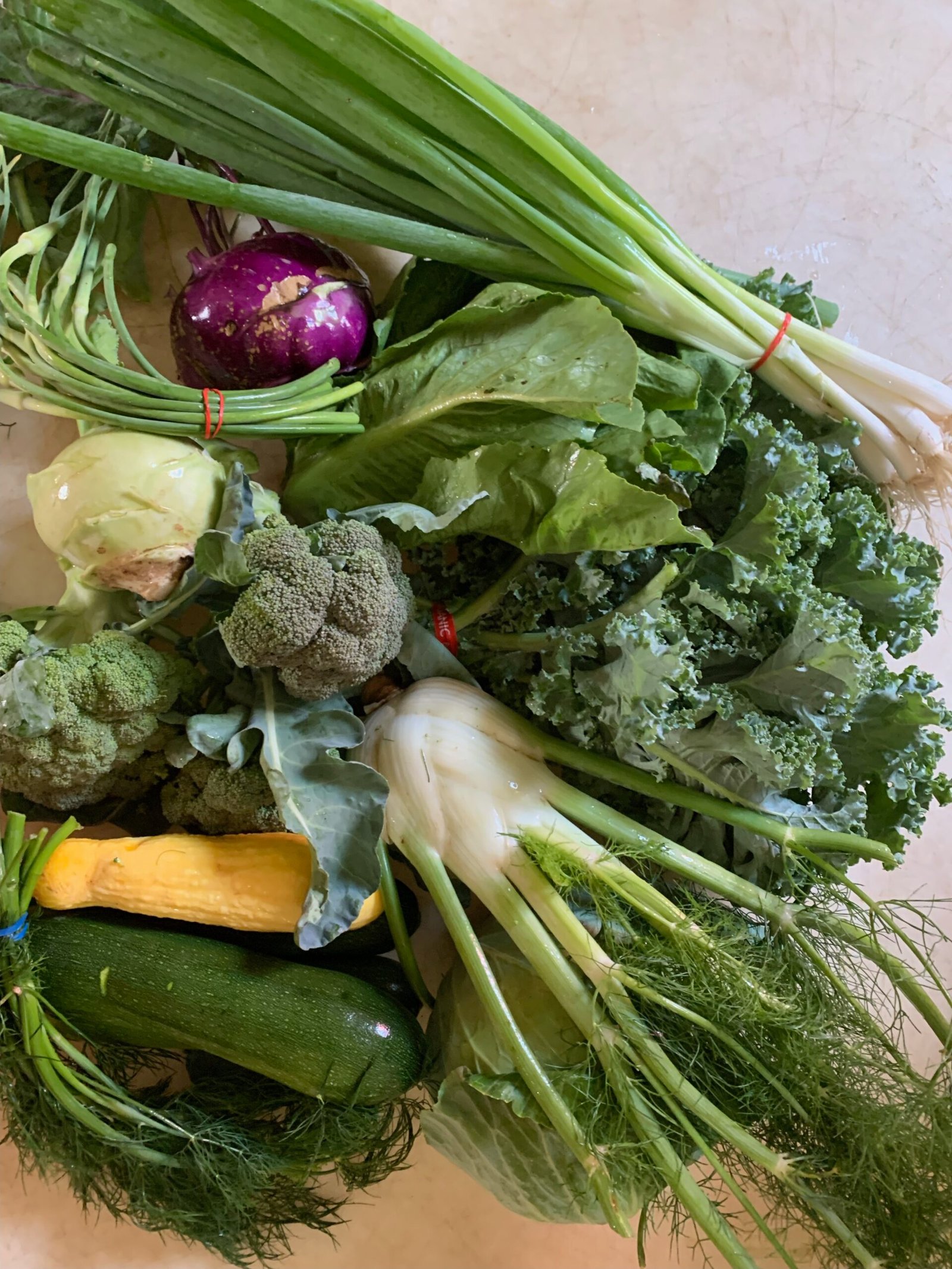 Week 7 2025 Small Family Csa Farm Viroqua Wi