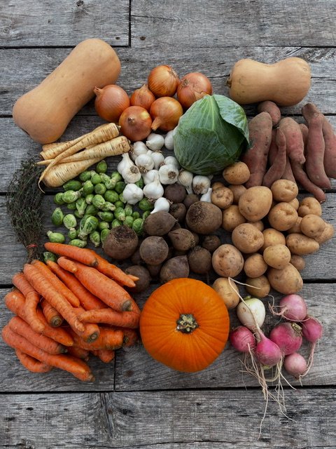 D7122324 C684 4B5D AD4E 0C3B80A802CC