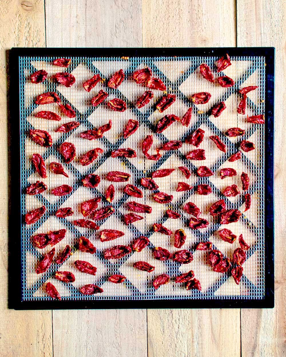 Dried Tomatoes in dehydrator