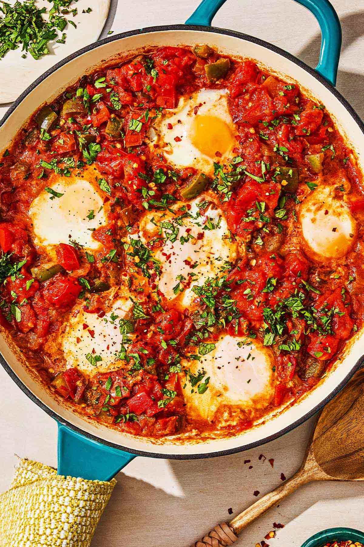 TMD Shakshuka Leads